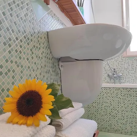 شقة Bagiu - Intero *