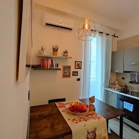 Daire Bagiu - Intero