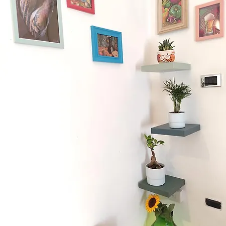 Apartamento Bagiu - Intero *